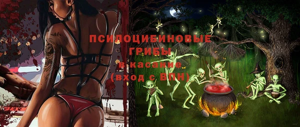 apvp Балахна