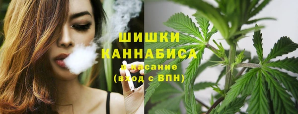стафф Балабаново