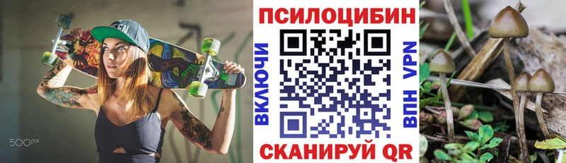 Псилоцибиновые грибы MAGIC MUSHROOMS  где купить наркотик  Лагань 